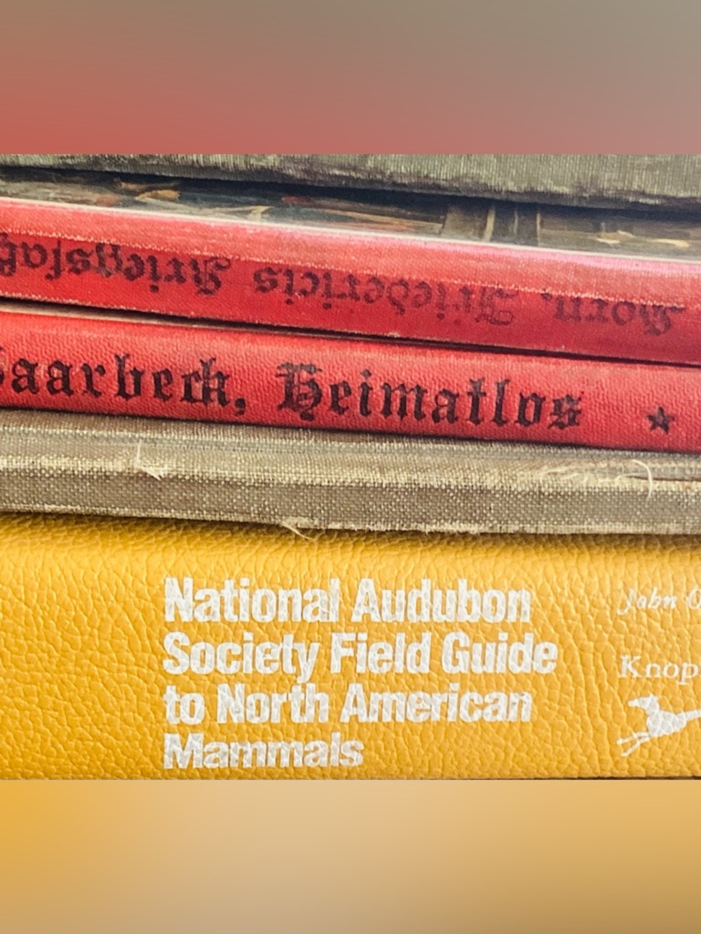 National Audubon Society Field Guide to North American Mammals EVC